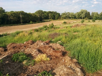 Area before construction, looking East
